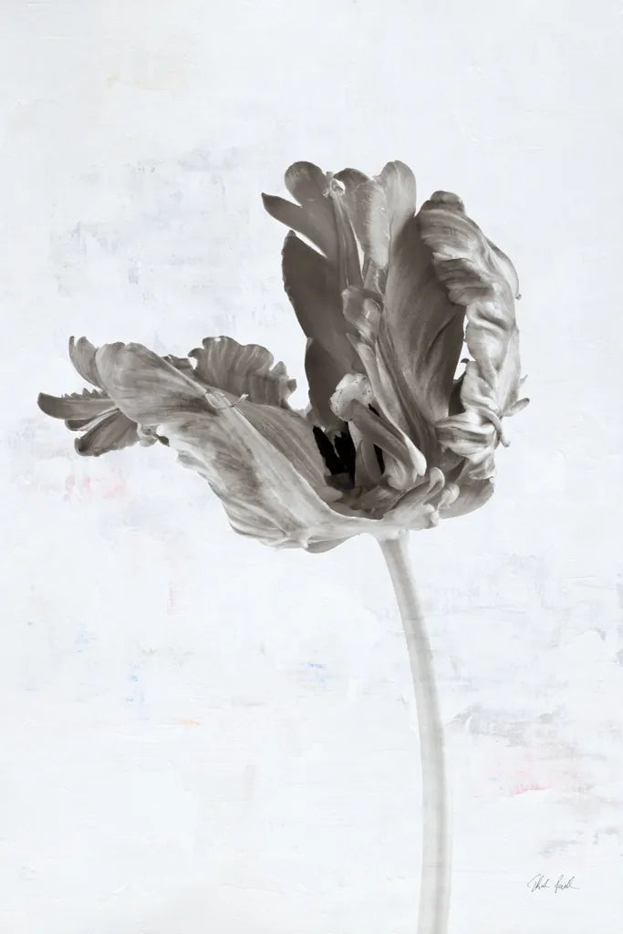Sepia Tulip III by Deborah Revell. SKU 93420h. Archival Giclee Fine art print for wall decor.