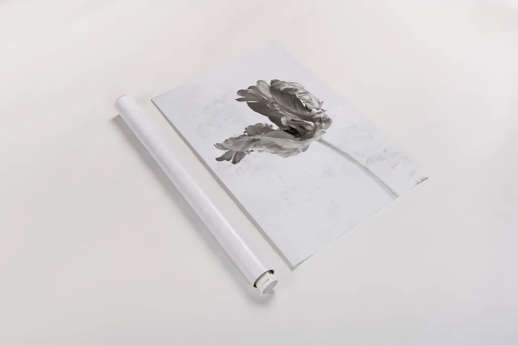 Sepia Tulip III by Deborah Revell. shown as a rolled paper print. Available as archival giclee rolled canvas, fine art paper, or poster print. SKU 93420h.