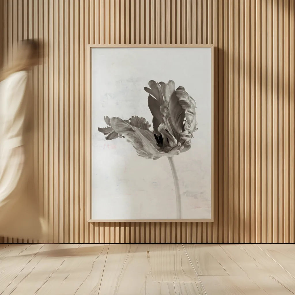 Sepia Tulip III by Deborah Revell. shown as over sized large wall art. Available as an archival giclee rolled canvas, fine art paper, or poster print. SKU 93420h.
