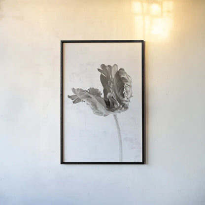 Sepia Tulip III by Deborah Revell. shown as a paper print in a black flame. Available as a archival giclee rolled canvas, fine art paper, or poster print. SKU 93420h.
