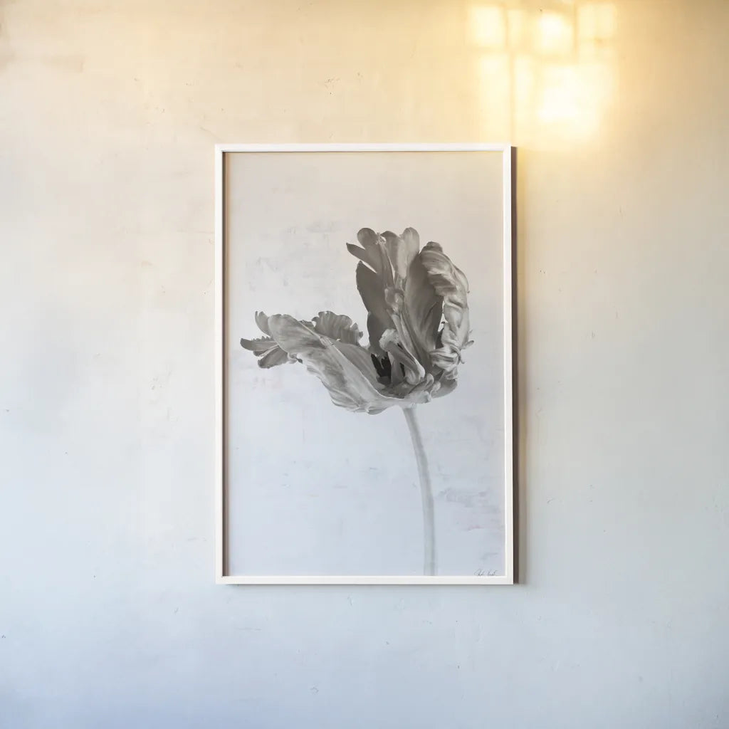 Sepia Tulip III by Deborah Revell. shown as a paper print in a white frame. Available as a archival giclee rolled canvas, fine art paper, or poster print. SKU 93420h.