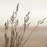 Sepia Wheat by Deborah Revell. SKU 104325a. Archival Giclee Fine art print for wall decor.