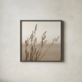 Sepia Wheat by Deborah Revell. Shown in a sleek black glass frame for a contemporary gallery look. Available as an archival giclee rolled canvas, fine art paper, or poster print. SKU 104325a.