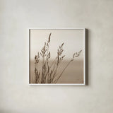 Sepia Wheat by Deborah Revell. Shown in a crisp white glass frame for a clean and minimalist style. Available as an archival giclee rolled canvas, fine art paper, or poster print. SKU 104325a.