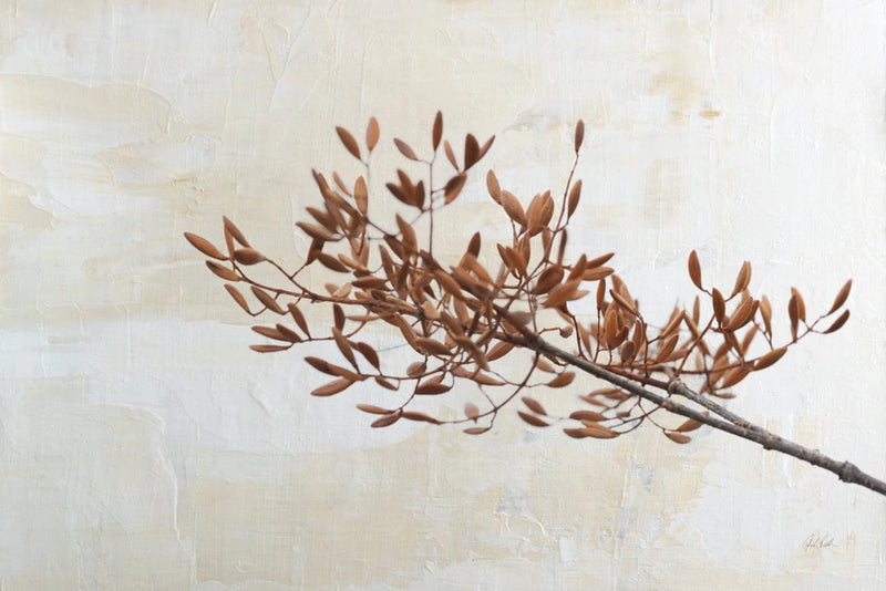 Set in White II by Deborah Revell