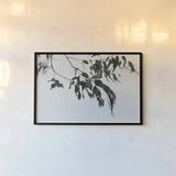 Simple Eucalyptus I by Deborah Revell. shown as a paper print in a black flame. Available as a archival giclee rolled canvas, fine art paper, or poster print. SKU 102714i.
