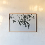 Simple Eucalyptus I by Deborah Revell. shown as a paper print in a natural frame. Available as a archival giclee rolled canvas, fine art paper, or poster print. SKU 102714i.