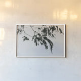Simple Eucalyptus I by Deborah Revell. shown as a paper print in a white frame. Available as a archival giclee rolled canvas, fine art paper, or poster print. SKU 102714i.