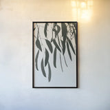 Simple Eucalyptus II by Deborah Revell. shown as a paper print in a black flame. Available as a archival giclee rolled canvas, fine art paper, or poster print. SKU 102715h.
