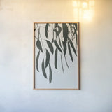 Simple Eucalyptus II by Deborah Revell. shown as a paper print in a natural frame. Available as a archival giclee rolled canvas, fine art paper, or poster print. SKU 102715h.