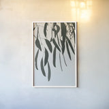 Simple Eucalyptus II by Deborah Revell. shown as a paper print in a white frame. Available as a archival giclee rolled canvas, fine art paper, or poster print. SKU 102715h.