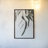 Simple Eucalyptus III by Deborah Revell. shown as a paper print in a black flame. Available as a archival giclee rolled canvas, fine art paper, or poster print. SKU 102716h.
