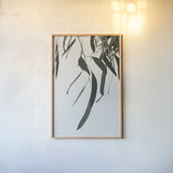 Simple Eucalyptus III by Deborah Revell. shown as a paper print in a natural frame. Available as a archival giclee rolled canvas, fine art paper, or poster print. SKU 102716h.