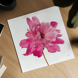 Simple Peony by Deborah Revell. Shown as a detailed flat fine art print, highlighting archival giclee quality. Available as an archival giclee rolled canvas, fine art paper, or poster print. SKU 104470a.