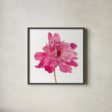 Simple Peony by Deborah Revell. Shown in a sleek black glass frame for a contemporary gallery look. Available as an archival giclee rolled canvas, fine art paper, or poster print. SKU 104470a.