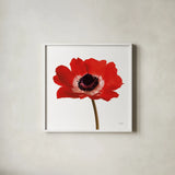Simple Poppy by Deborah Revell. Shown in a crisp white glass frame for a clean and minimalist style. Available as an archival giclee rolled canvas, fine art paper, or poster print. SKU 104471a.