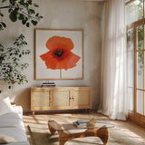 Simple Wild Poppy by Deborah Revell. Shown in a natural wood frame in a cozy modern living room. Available as an archival giclee rolled canvas, fine art paper, or poster print. SKU 104467a.
