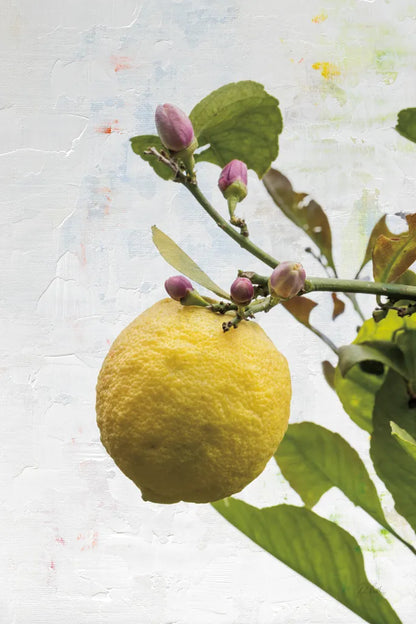 Single Lemon by Deborah Revell. SKU 94132h. Archival Giclee Fine art print for wall decor.