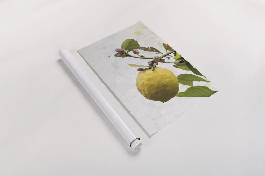 Single Lemon by Deborah Revell. shown as a rolled paper print. Available as archival giclee rolled canvas, fine art paper, or poster print. SKU 94132h.