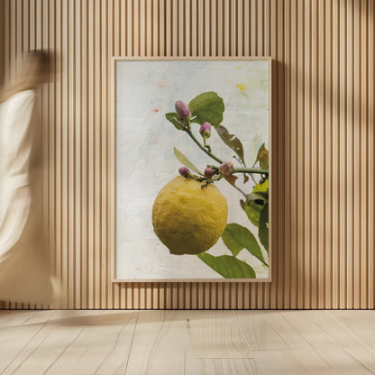 Single Lemon by Deborah Revell. shown as over sized large wall art. Available as an archival giclee rolled canvas, fine art paper, or poster print. SKU 94132h.