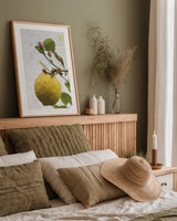 Single Lemon by Deborah Revell. shown as a paper print in a natural frame. Available as a archival giclee rolled canvas, fine art paper, or poster print. SKU 94132h.