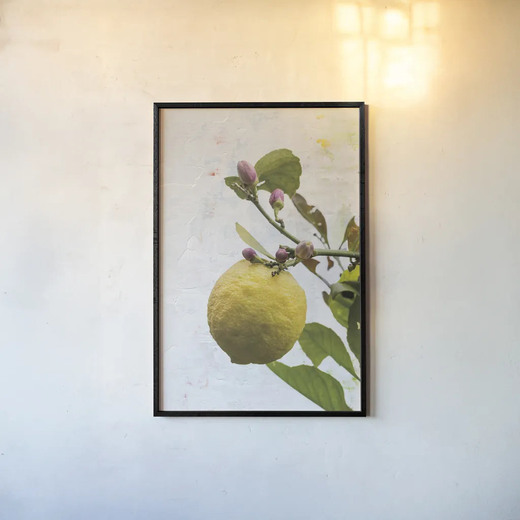 Single Lemon by Deborah Revell. shown as a paper print in a black flame. Available as a archival giclee rolled canvas, fine art paper, or poster print. SKU 94132h.