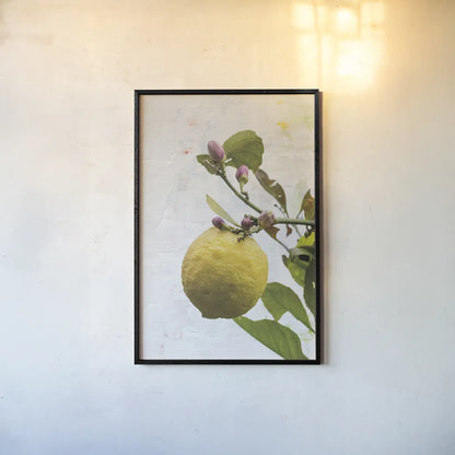Single Lemon by Deborah Revell. shown as a paper print in a black flame. Available as a archival giclee rolled canvas, fine art paper, or poster print. SKU 94132h.