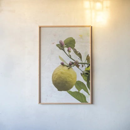 Single Lemon by Deborah Revell. shown as a paper print in a natural frame. Available as a archival giclee rolled canvas, fine art paper, or poster print. SKU 94132h.