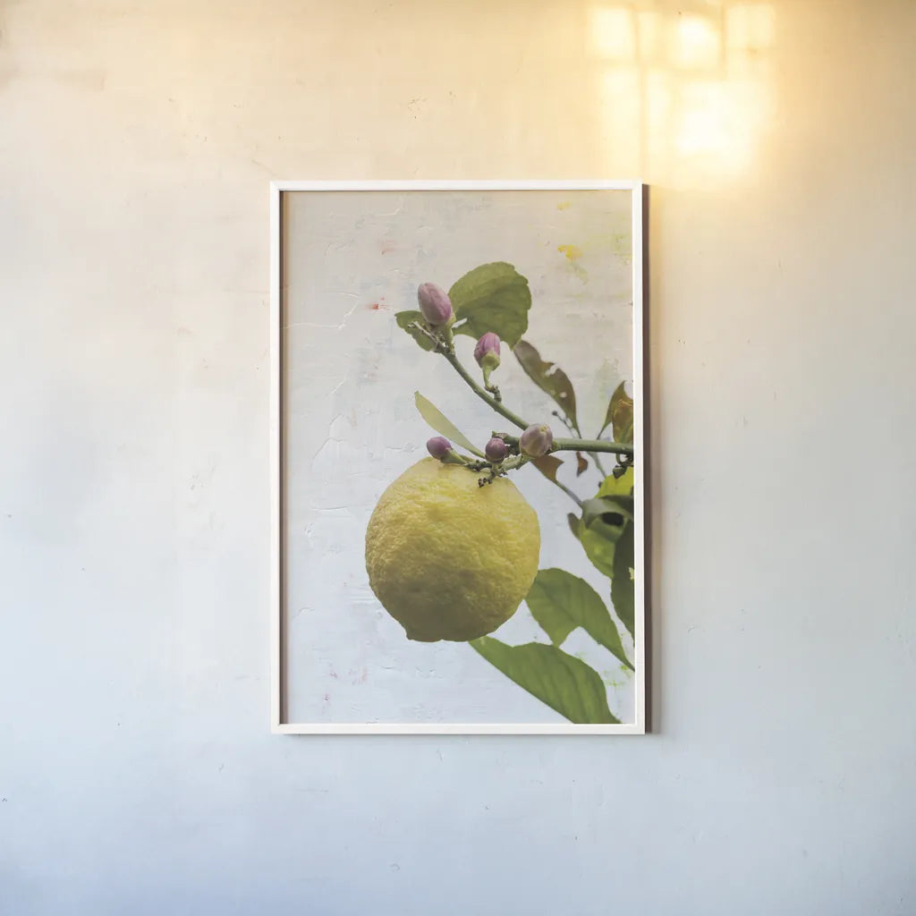 Single Lemon by Deborah Revell. shown as a paper print in a white frame. Available as a archival giclee rolled canvas, fine art paper, or poster print. SKU 94132h.