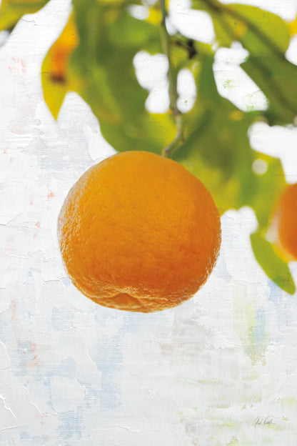 Single Orange by Deborah Revell. SKU 94133h. Archival Giclee Fine art print for wall decor.