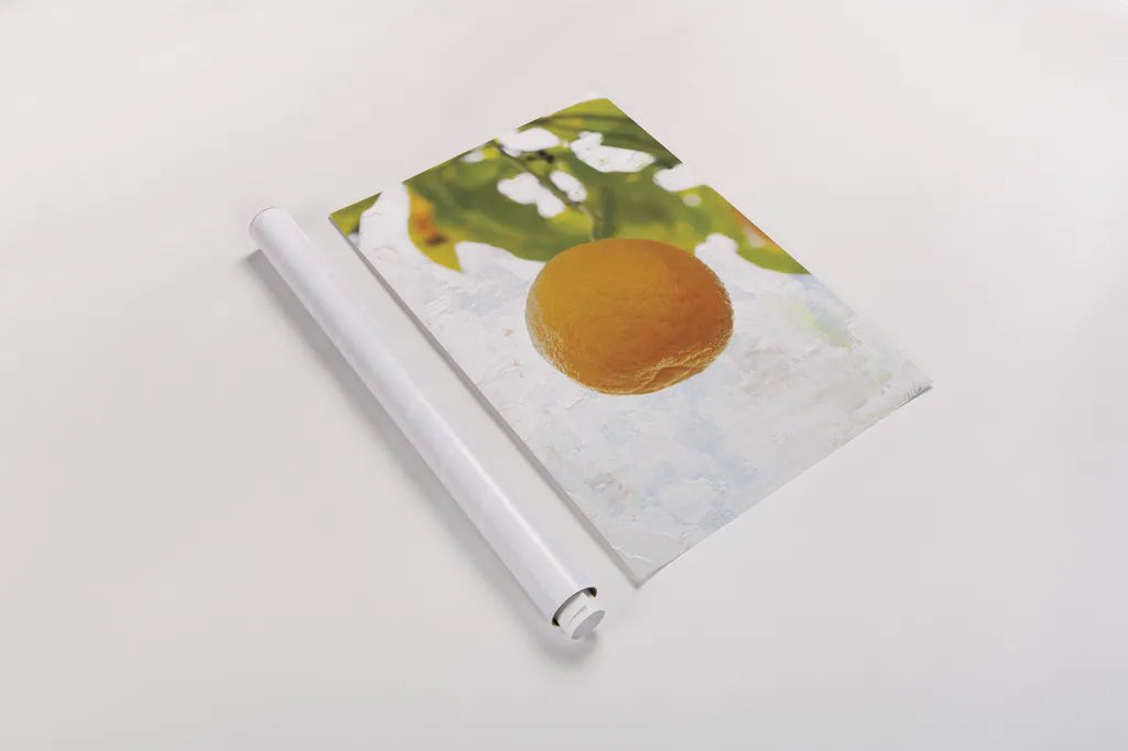 Single Orange by Deborah Revell. shown as a rolled paper print. Available as archival giclee rolled canvas, fine art paper, or poster print. SKU 94133h.