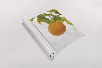 Single Orange by Deborah Revell. shown as a rolled paper print. Available as archival giclee rolled canvas, fine art paper, or poster print. SKU 94133h.