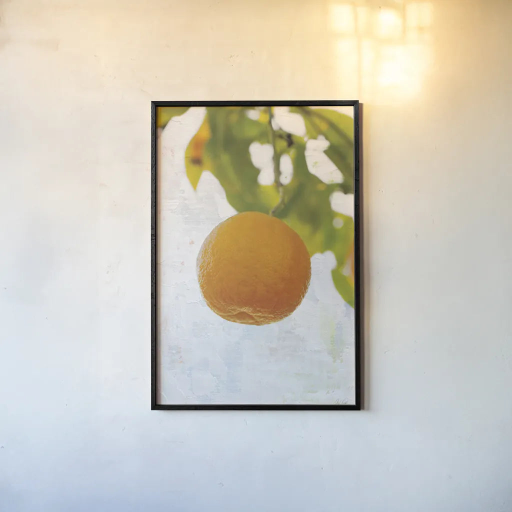 Single Orange by Deborah Revell. shown as a paper print in a black flame. Available as a archival giclee rolled canvas, fine art paper, or poster print. SKU 94133h.