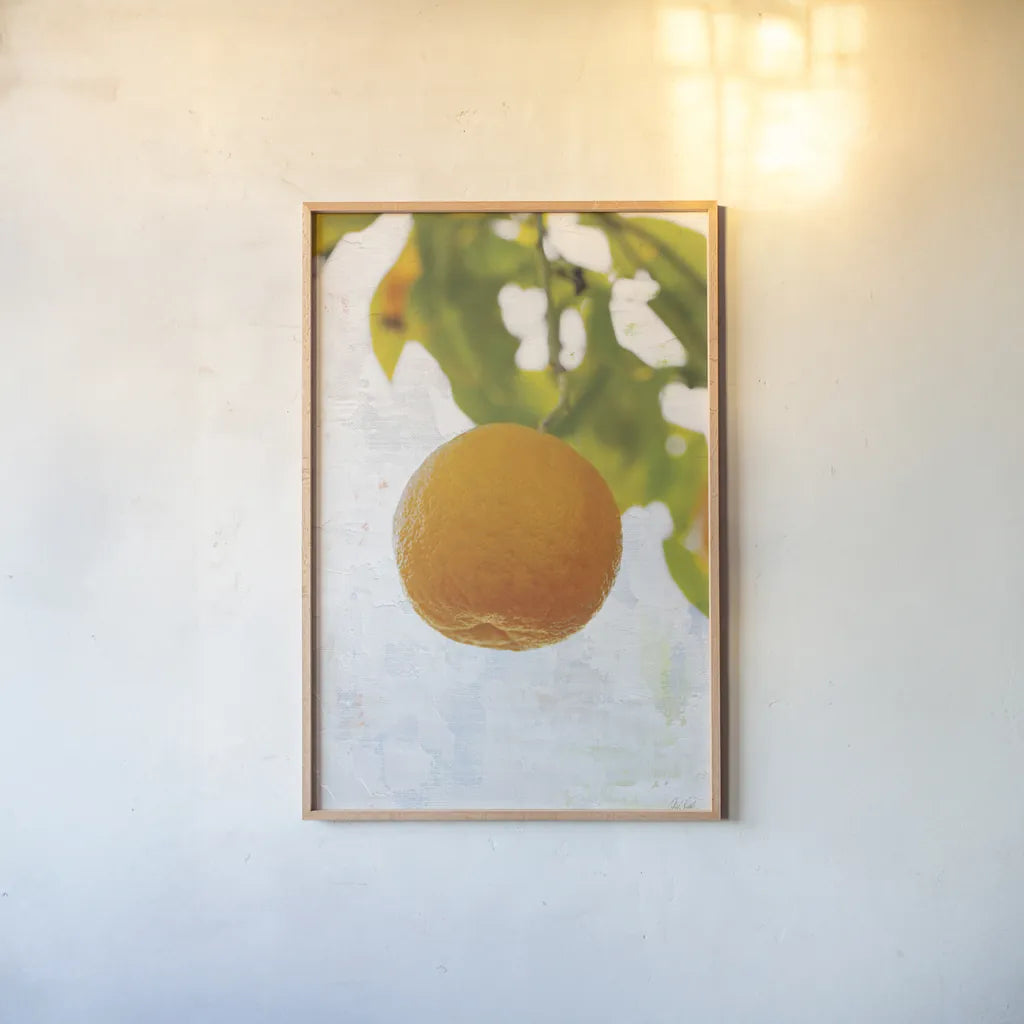 Single Orange by Deborah Revell. shown as a paper print in a natural frame. Available as a archival giclee rolled canvas, fine art paper, or poster print. SKU 94133h.