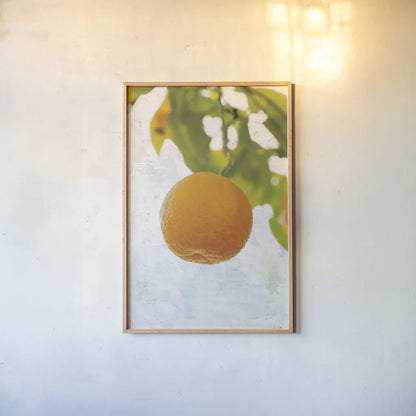 Single Orange by Deborah Revell. shown as a paper print in a natural frame. Available as a archival giclee rolled canvas, fine art paper, or poster print. SKU 94133h.