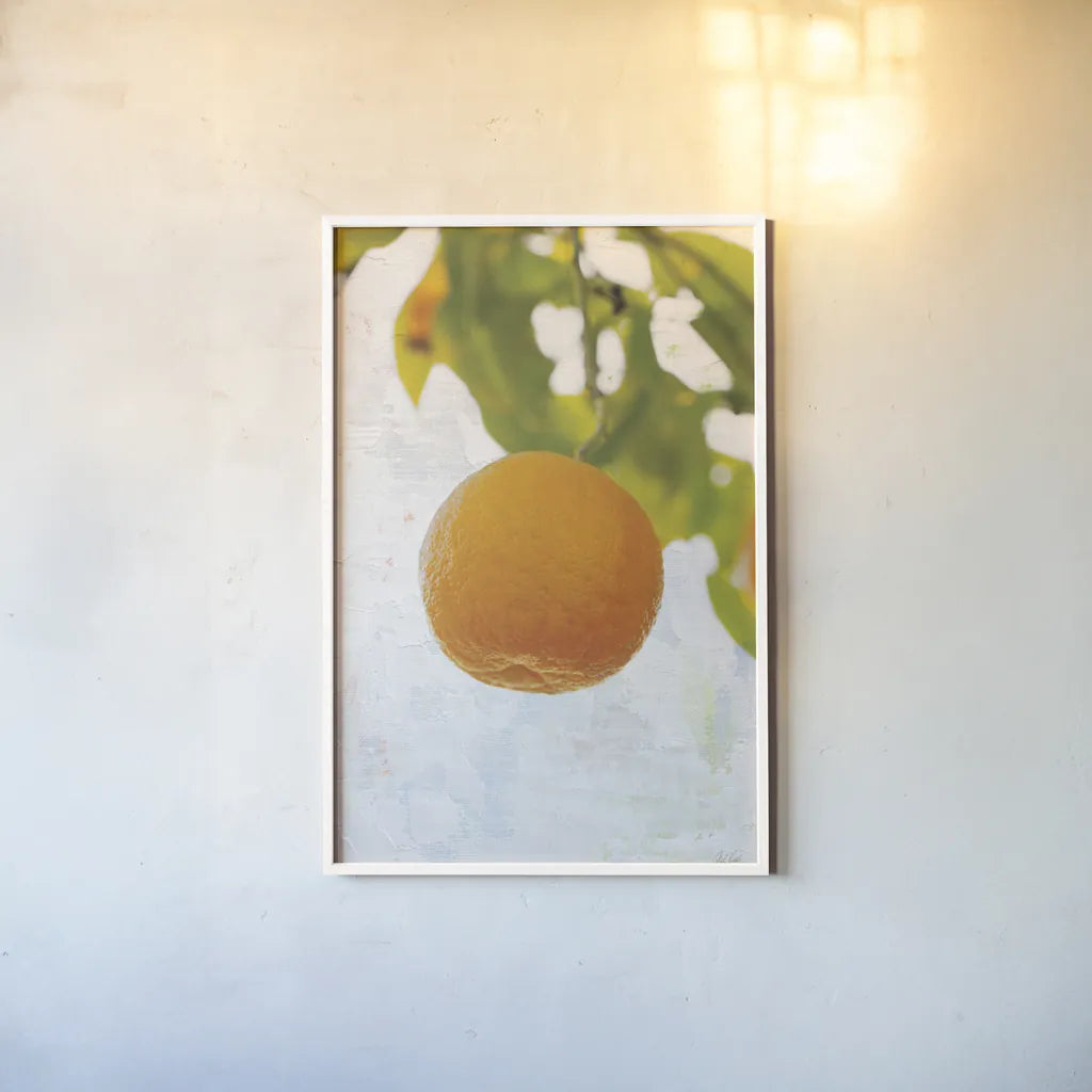 Single Orange by Deborah Revell. shown as a paper print in a white frame. Available as a archival giclee rolled canvas, fine art paper, or poster print. SKU 94133h.