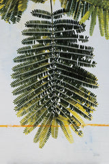 Single Palm by Deborah Revell. SKU 91856h. Archival Giclee Fine art print for wall decor.