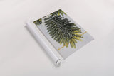 Single Palm by Deborah Revell. shown as a rolled paper print. Available as archival giclee rolled canvas, fine art paper, or poster print. SKU 91856h.