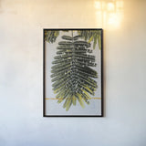 Single Palm by Deborah Revell. shown as a paper print in a black flame. Available as a archival giclee rolled canvas, fine art paper, or poster print. SKU 91856h.