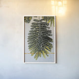 Single Palm by Deborah Revell. shown as a paper print in a white frame. Available as a archival giclee rolled canvas, fine art paper, or poster print. SKU 91856h.