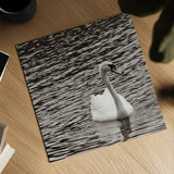 Single Swan by Deborah Revell. Shown as a detailed flat fine art print, highlighting archival giclee quality. Available as an archival giclee rolled canvas, fine art paper, or poster print. SKU 96815a.