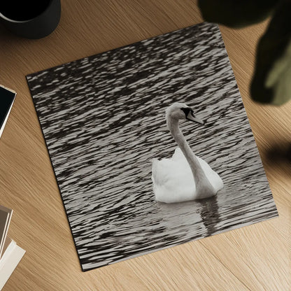 Single Swan by Deborah Revell. Shown as a detailed flat fine art print, highlighting archival giclee quality. Available as an archival giclee rolled canvas, fine art paper, or poster print. SKU 96815a.