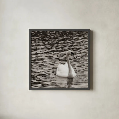 Single Swan by Deborah Revell. Shown in a sleek black glass frame for a contemporary gallery look. Available as an archival giclee rolled canvas, fine art paper, or poster print. SKU 96815a.