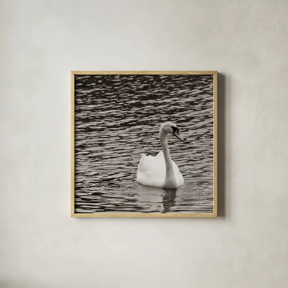 Single Swan by Deborah Revell. Shown in a natural wood glass frame for a timeless modern aesthetic. Available as an archival giclee rolled canvas, fine art paper, or poster print. SKU 96815a.