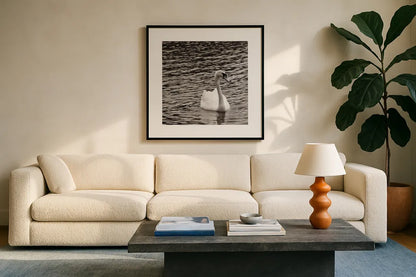 Single Swan by Deborah Revell. Displayed in a glass frame with matte in a clean modern living room. Available as an archival giclee rolled canvas, fine art paper, or poster print. SKU 96815a.