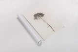 Sleek Simplicity I by Deborah Revell. shown as a rolled paper print. Available as archival giclee rolled canvas, fine art paper, or poster print. SKU 92325h.