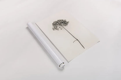 Sleek Simplicity I by Deborah Revell. shown as a rolled paper print. Available as archival giclee rolled canvas, fine art paper, or poster print. SKU 92325h.