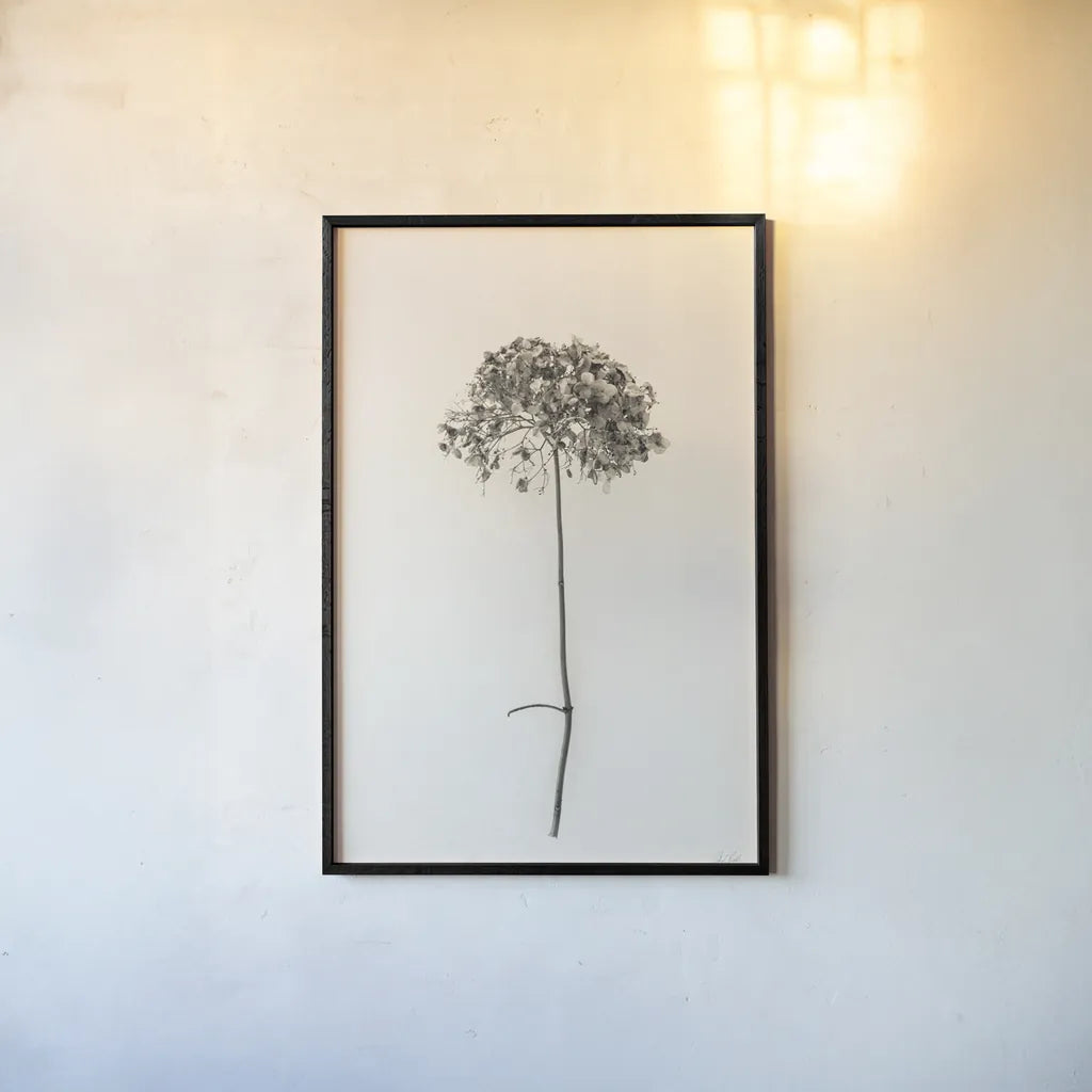 Sleek Simplicity I by Deborah Revell. shown as a paper print in a black flame. Available as a archival giclee rolled canvas, fine art paper, or poster print. SKU 92325h.