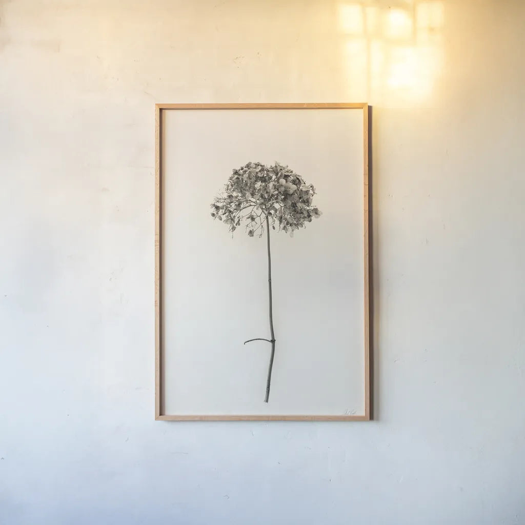 Sleek Simplicity I by Deborah Revell. shown as a paper print in a natural frame. Available as a archival giclee rolled canvas, fine art paper, or poster print. SKU 92325h.