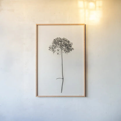 Sleek Simplicity I by Deborah Revell. shown as a paper print in a natural frame. Available as a archival giclee rolled canvas, fine art paper, or poster print. SKU 92325h.
